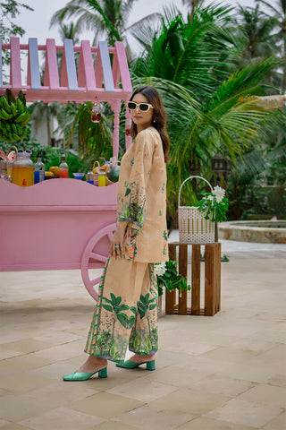 MINT MARGARITA-Co-ord Set